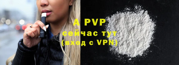 стаф Кукмор