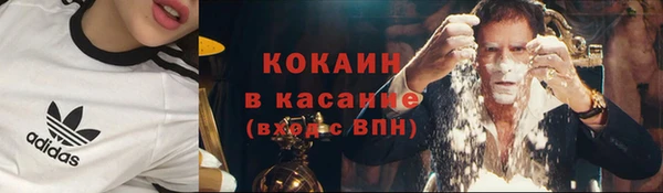 стаф Кукмор