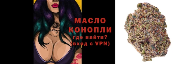 стафф Кулебаки