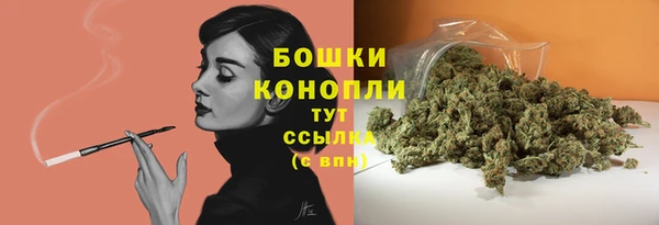 стаф Кукмор