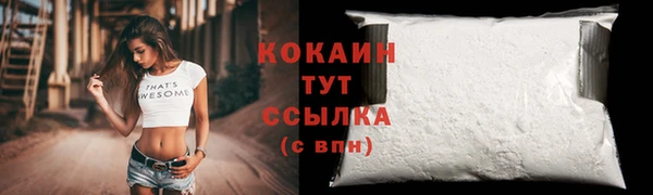 стафф Кулебаки