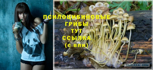 стаф Кукмор