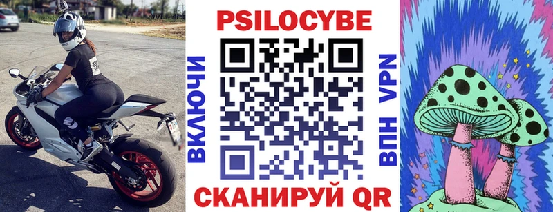 Галлюциногенные грибы MAGIC MUSHROOMS  магазин продажи наркотиков  KRAKEN ONION  Троицк 