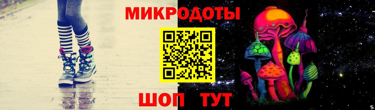 хочу   Псилоцибиновые грибы мицелий  Троицк  Вход с VPN  Галлюциногенные грибы Psilocybe 